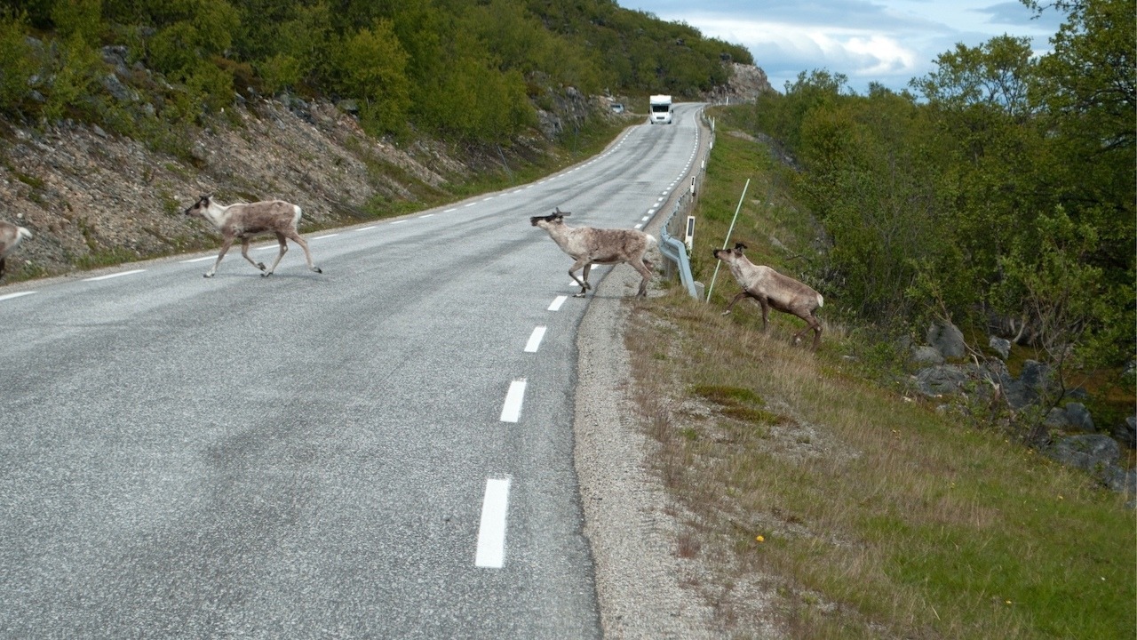 SOGNEFJELLET - 19
