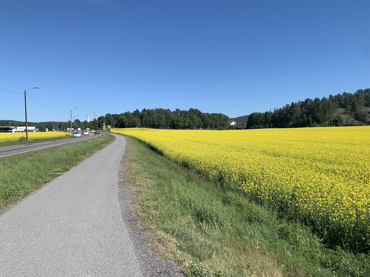 Cycle Path, Oslo Fjord