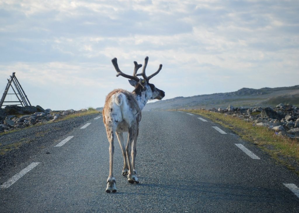 Finnmark