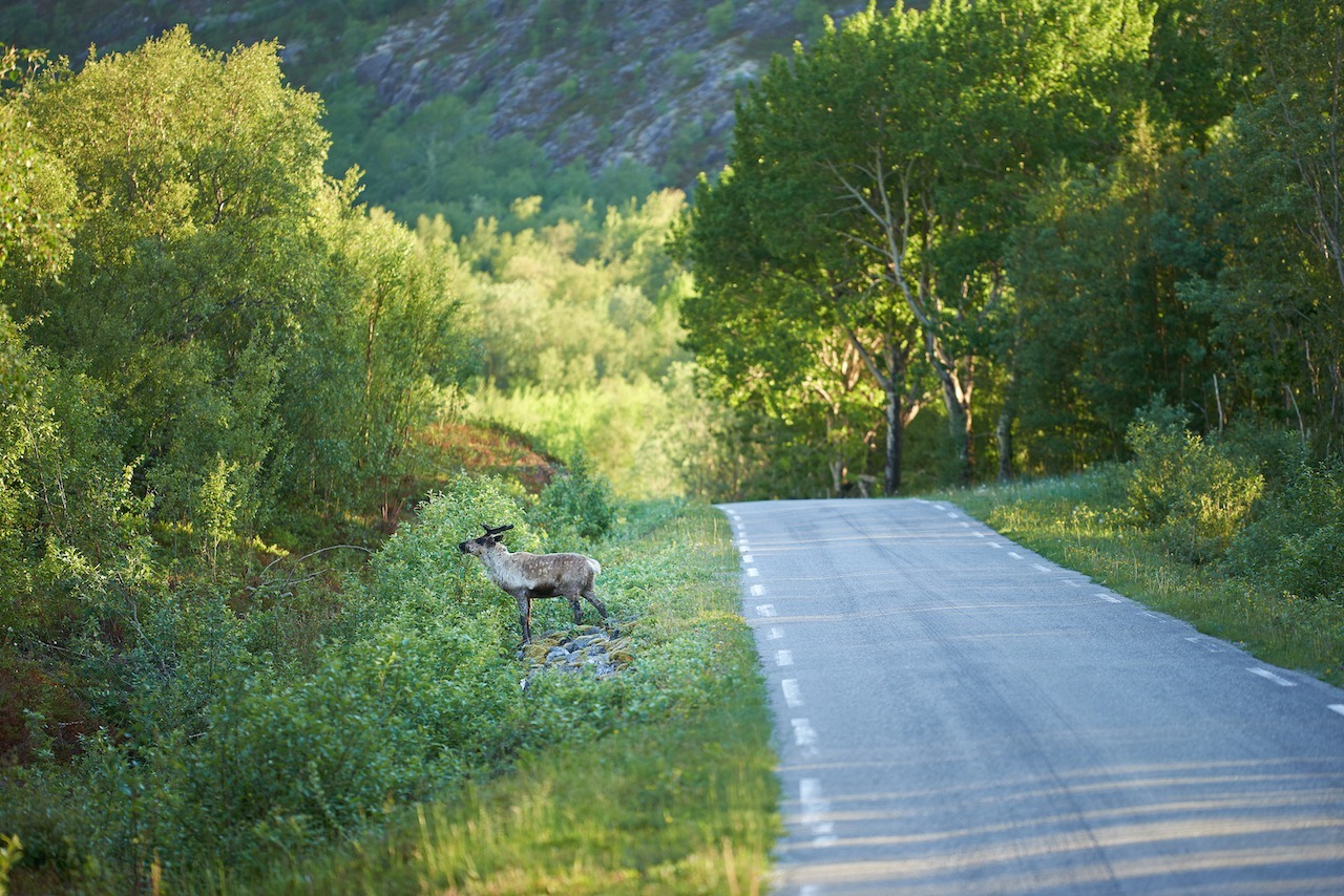 Midnigh sun in Norway