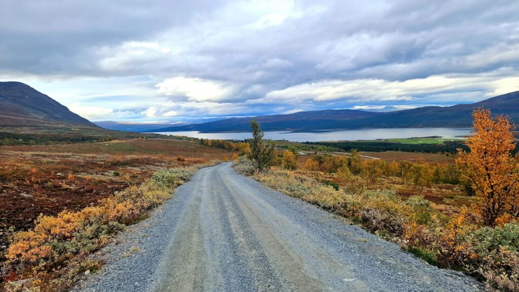 Jotunheim Gravel Explorer