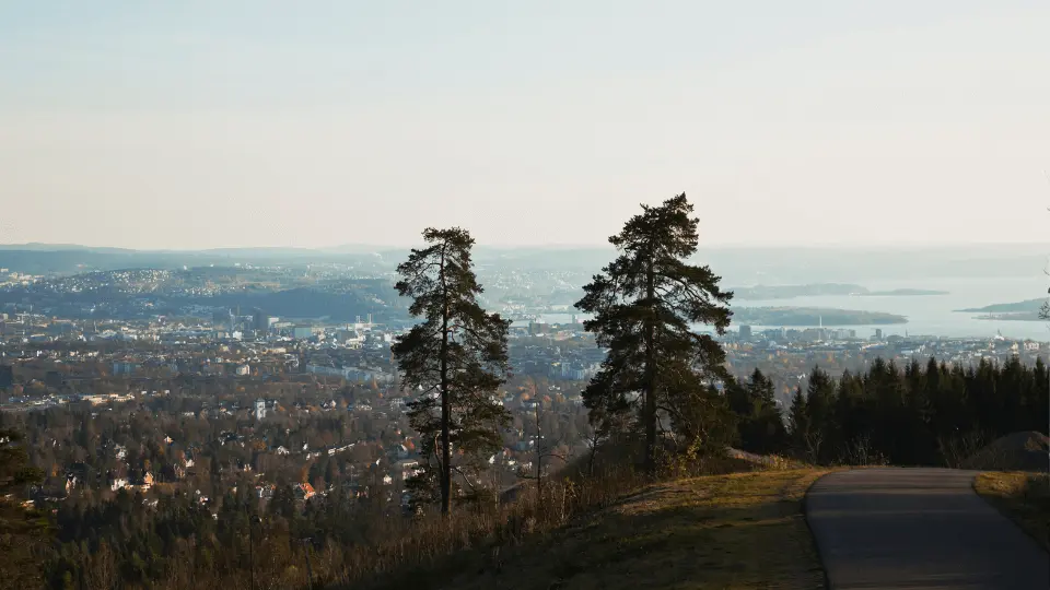 City view from the forest