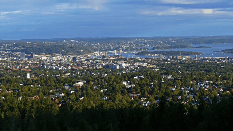 Forest and Oslo city
