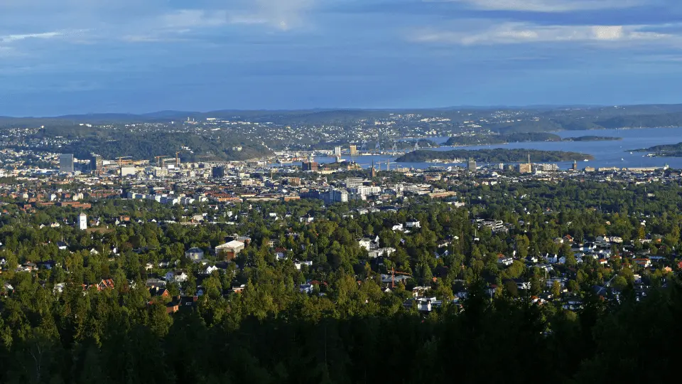 Forest and Oslo city