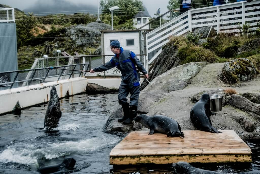 Lofoten Aquarium_Thomas Rasmus Skaug - VisitNorway.com-2 - Cycle Norway